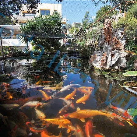 Costa Ibiza Alquiler Anual